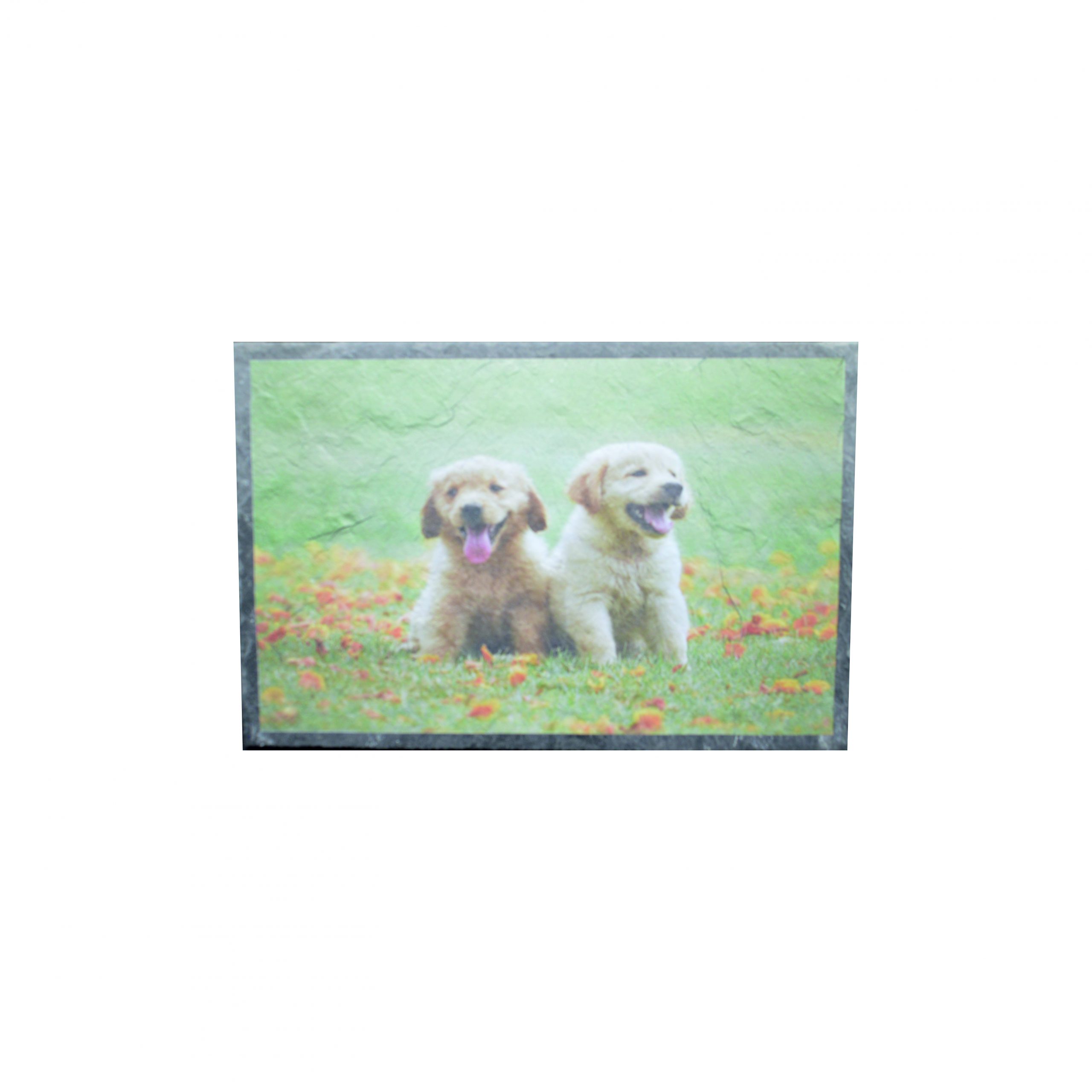 Fotodruck Schieferplatte